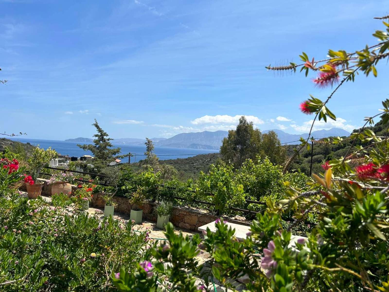 Ágios Nikólaos Fissi Villas Agritourism Accommodation Near The Sea מראה חיצוני תמונה
