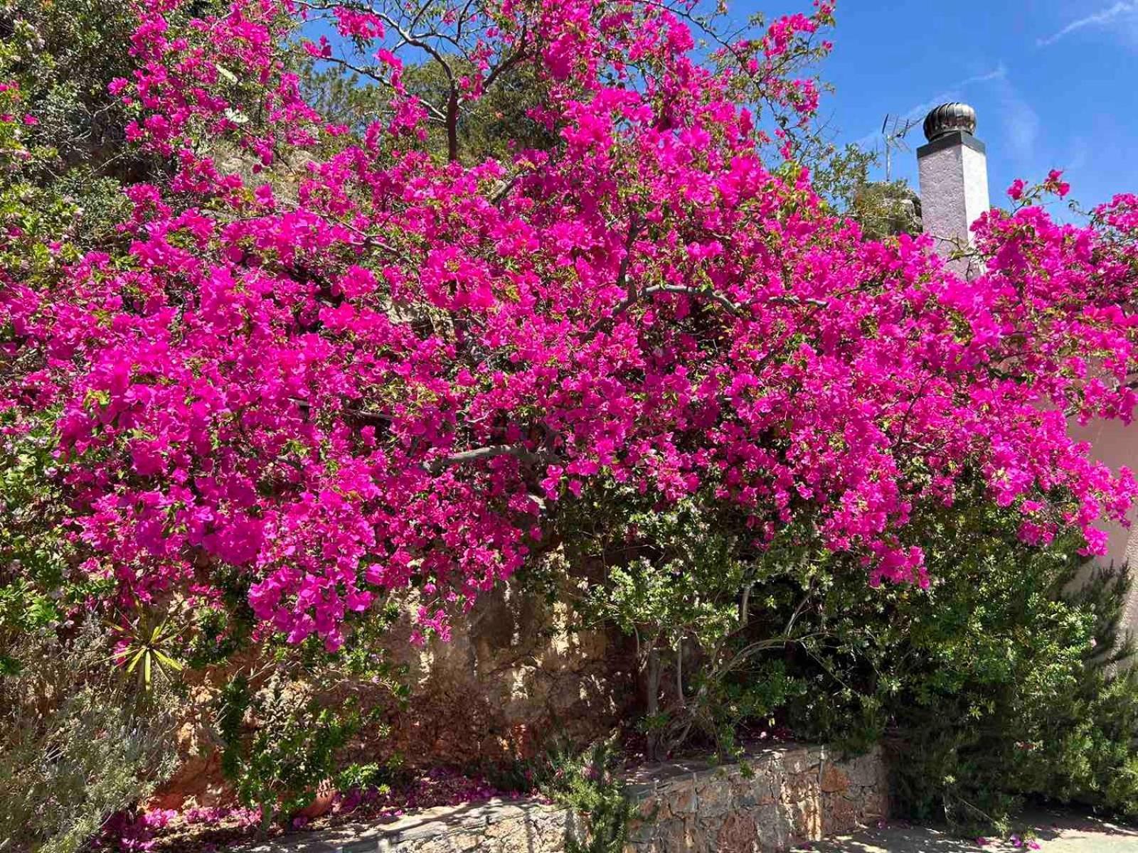 Ágios Nikólaos Fissi Villas Agritourism Accommodation Near The Sea מראה חיצוני תמונה